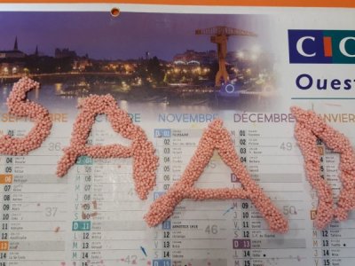 20200922_155819_resized