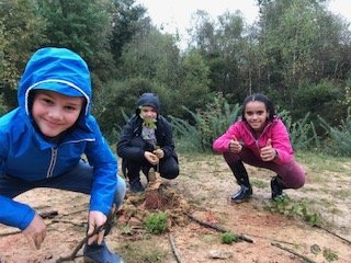 348C8BC1-A6D8-451D-A977-FC0817D776D9