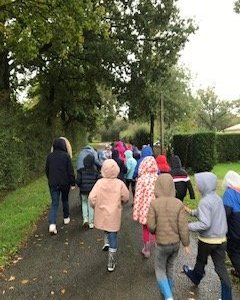 D285DABA-E9EF-4E8E-A306-785F21FBE0E2