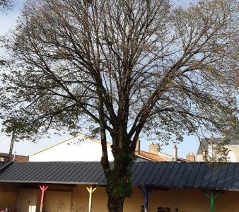 20201106_131219_resized