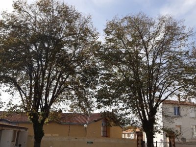 20201106_131229_resized